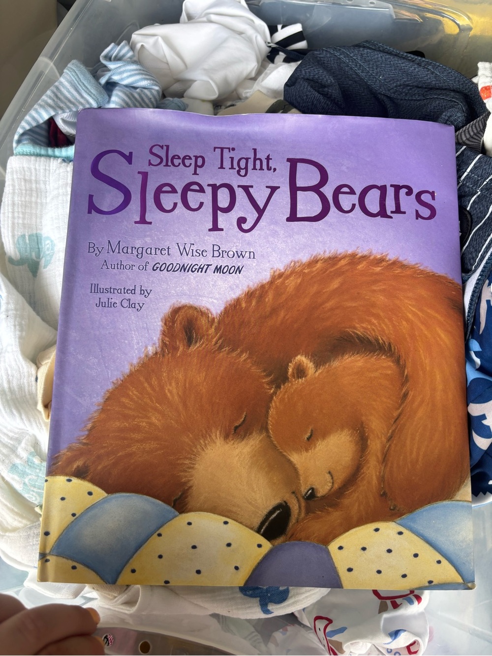 Sleep Tight, Sleepy Bears - Purple Kids Book
